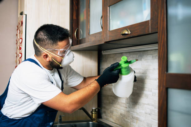 Best Pest Prevention Services  in Cushing, OK