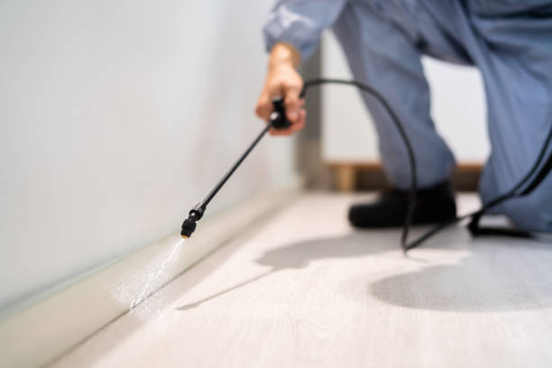 Best Commercial Pest Control Services  in Cushing, OK