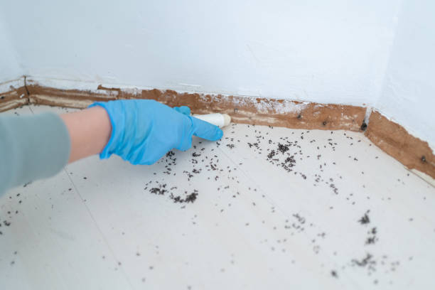 Best Affordable Pest Control Services  in Cushing, OK