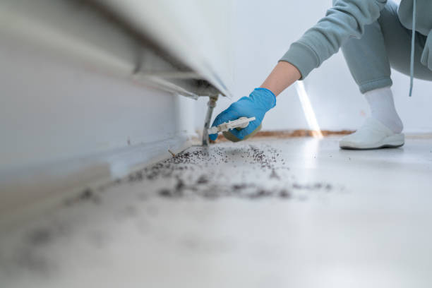 Best Termite Control Services  in Cushing, OK
